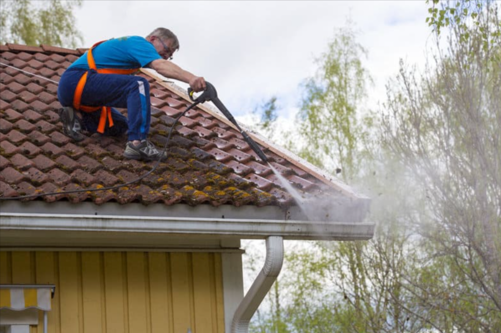 Protect Your Investment: The Importance Of Regular Roof Washing