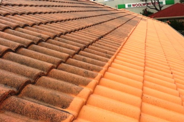 Enhance Curb Appeal: Professional Roof Washing Solutions